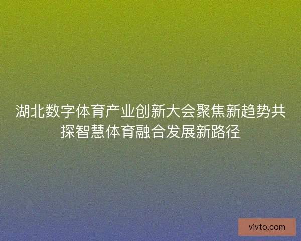 湖北数字体育产业创新大会聚焦新趋势共探智慧体育融合发展新路径