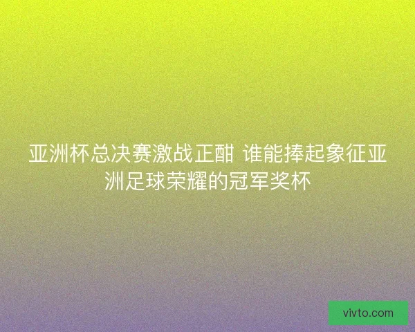 亚洲杯总决赛激战正酣 谁能捧起象征亚洲足球荣耀的冠军奖杯